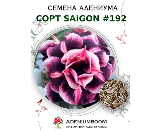 Адениум Тучный от Saigon Adenium № 192