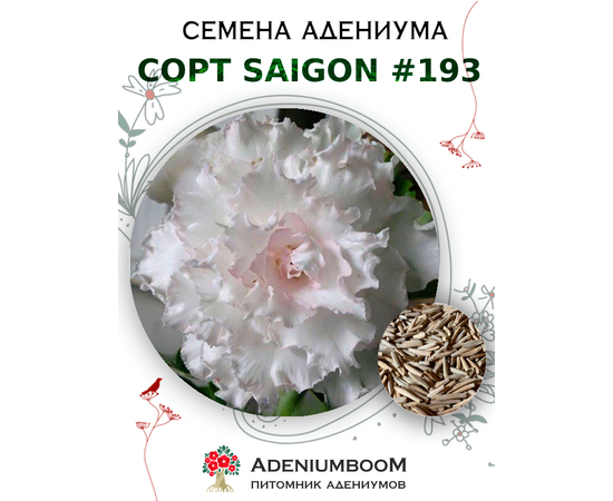 Адениум Тучный от Saigon Adenium № 193