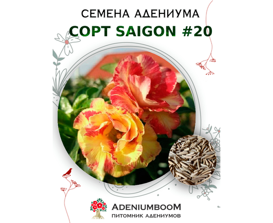 Адениум Тучный от Saigon Adenium № 20