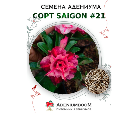 Адениум Тучный от Saigon Adenium № 21