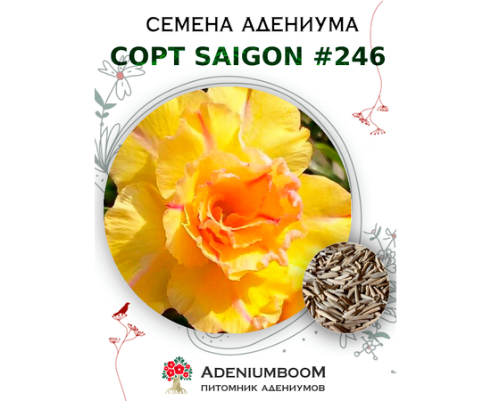 Адениум Тучный от Saigon Adenium № 246