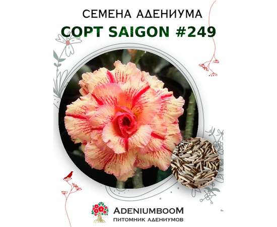 Адениум Тучный от Saigon Adenium № 249