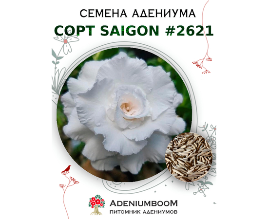 Адениум Тучный от Saigon Adenium № 2621