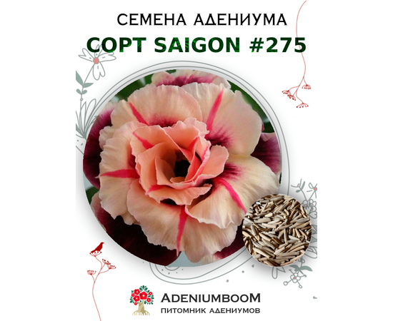 Адениум Тучный от Saigon Adenium № 275