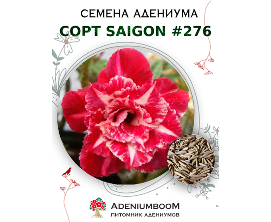 Адениум Тучный от Saigon Adenium № 276