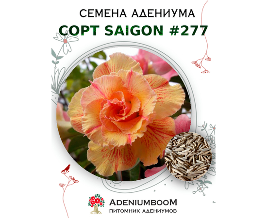 Адениум Тучный от Saigon Adenium № 277