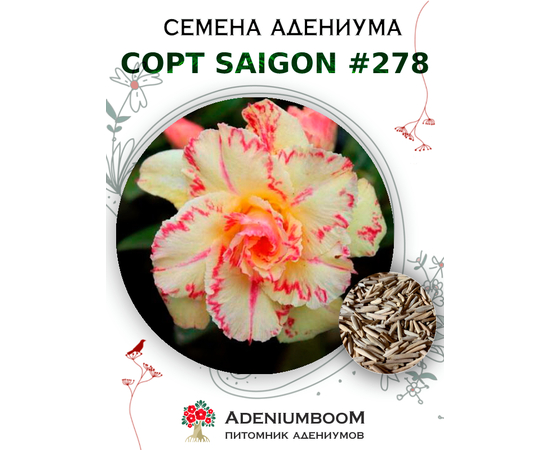 Адениум Тучный от Saigon Adenium № 278