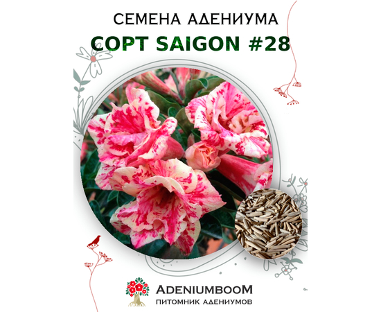 Адениум Тучный от Saigon Adenium № 28