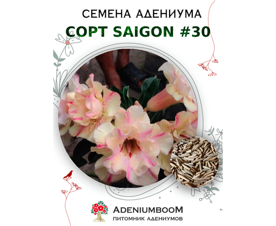 Адениум Тучный от Saigon Adenium № 30