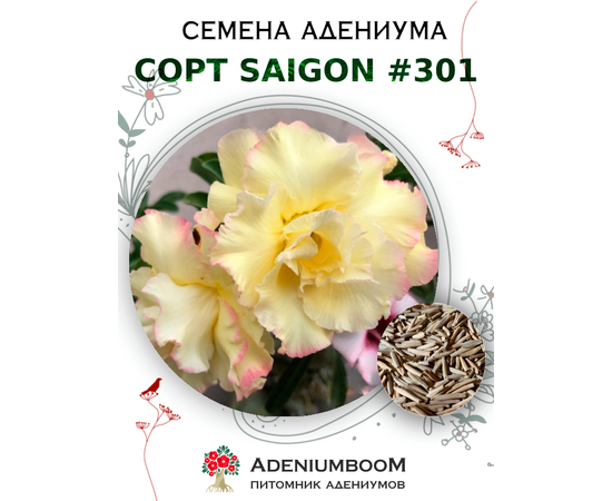 Адениум Тучный от Saigon Adenium № 301