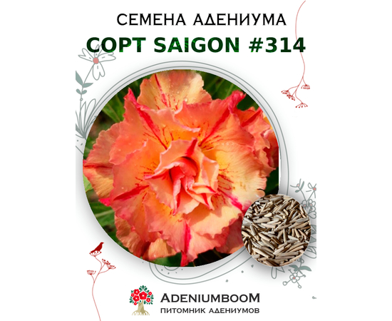 Адениум Тучный от Saigon Adenium № 314
