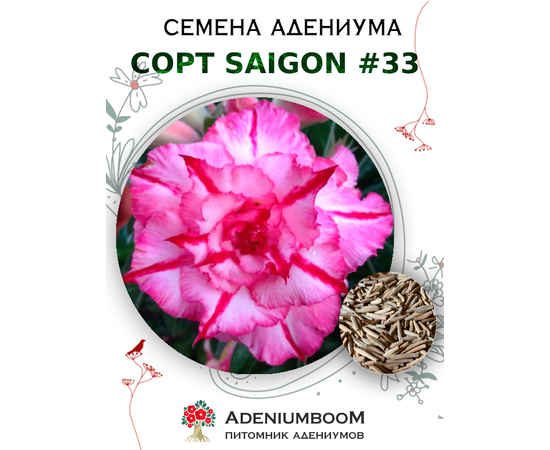 Адениум Тучный от Saigon Adenium № 33
