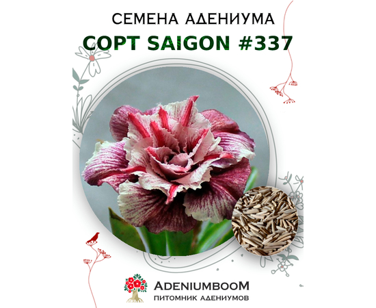 Адениум Тучный от Saigon Adenium № 337