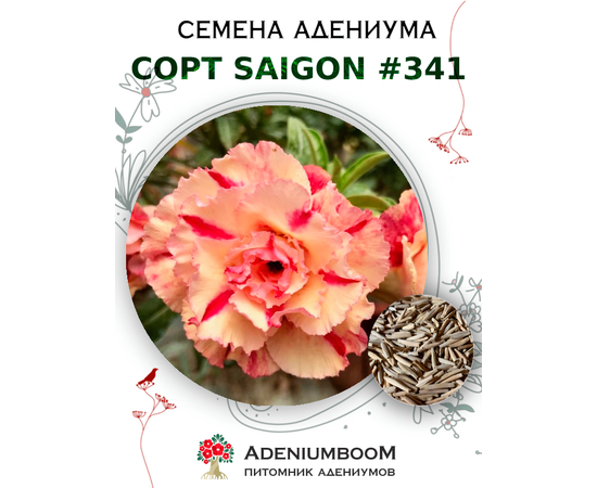 Адениум Тучный от Saigon Adenium № 341