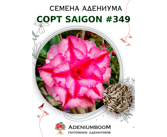 Адениум Тучный от Saigon Adenium № 349