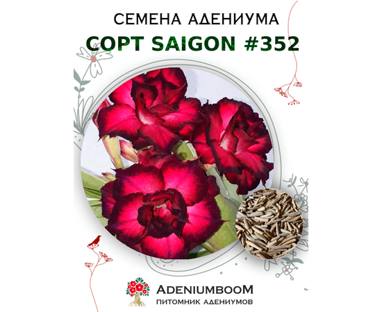Адениум Тучный от Saigon Adenium № 352