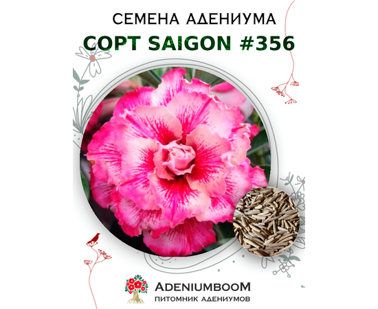 Адениум Тучный от Saigon Adenium № 356