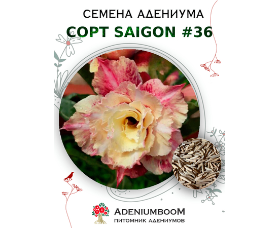 Адениум Тучный от Saigon Adenium № 36