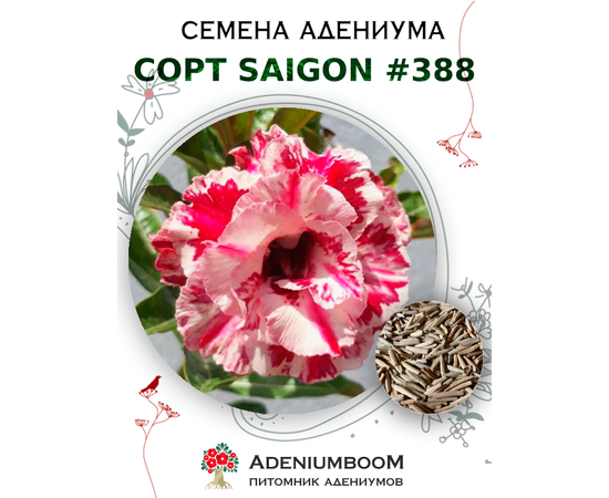Адениум Тучный от Saigon Adenium № 388