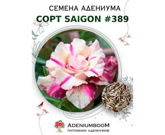Адениум Тучный от Saigon Adenium № 389