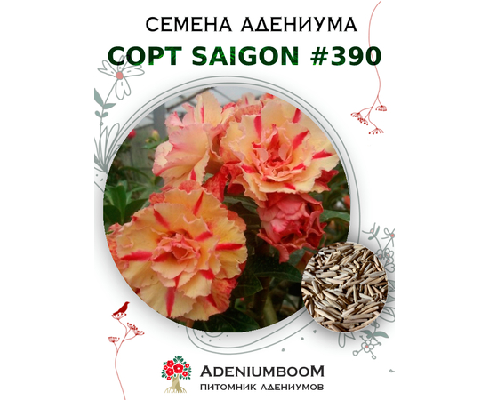 Адениум Тучный от Saigon Adenium № 390