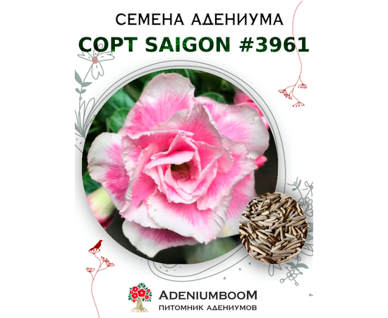 Адениум Тучный от Saigon Adenium № 3961