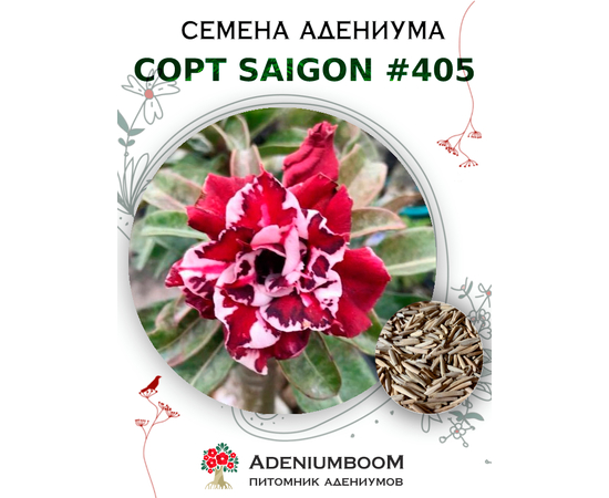 Адениум Тучный от Saigon Adenium № 405