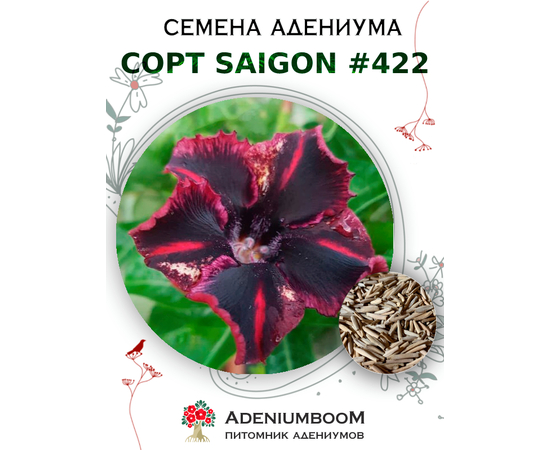Адениум Тучный от Saigon Adenium № 422