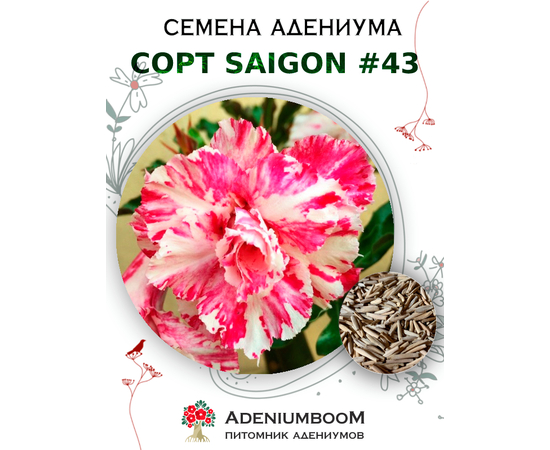 Адениум Тучный от Saigon Adenium № 43