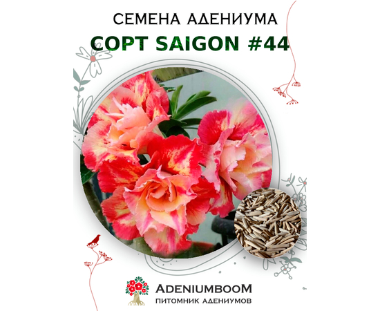 Адениум Тучный от Saigon Adenium № 44