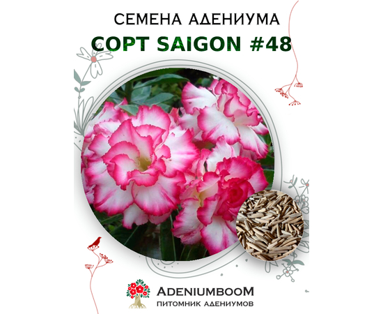 Адениум Тучный от Saigon Adenium № 48