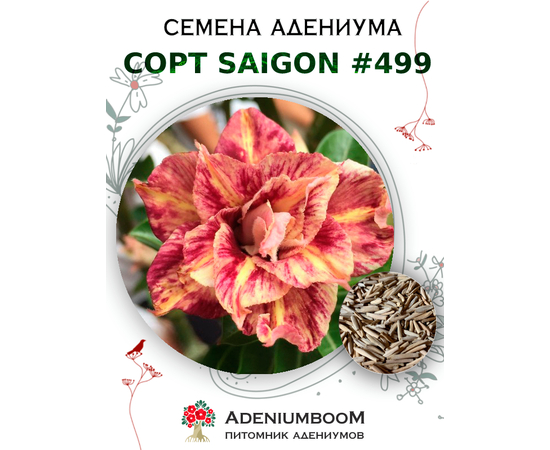 Адениум Тучный от Saigon Adenium № 499