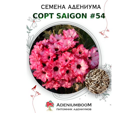 Адениум Тучный от Saigon Adenium № 54