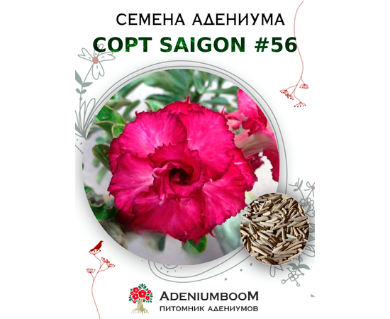 Адениум Тучный от Saigon Adenium № 56