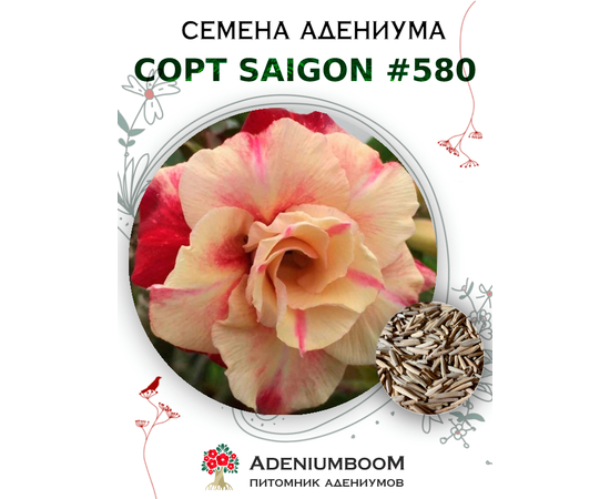 Адениум Тучный от Saigon Adenium № 580