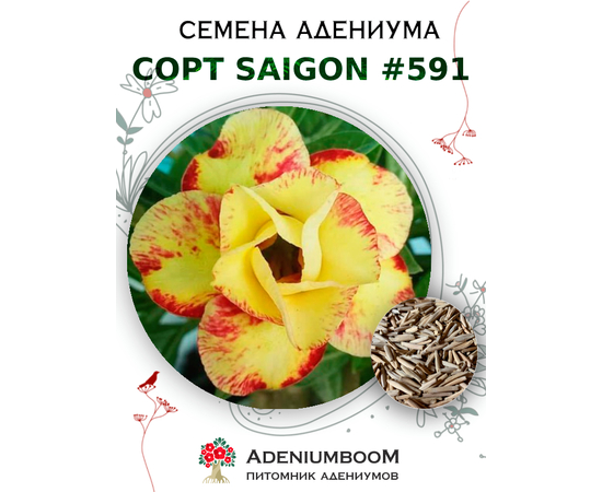 Адениум Тучный от Saigon Adenium № 591