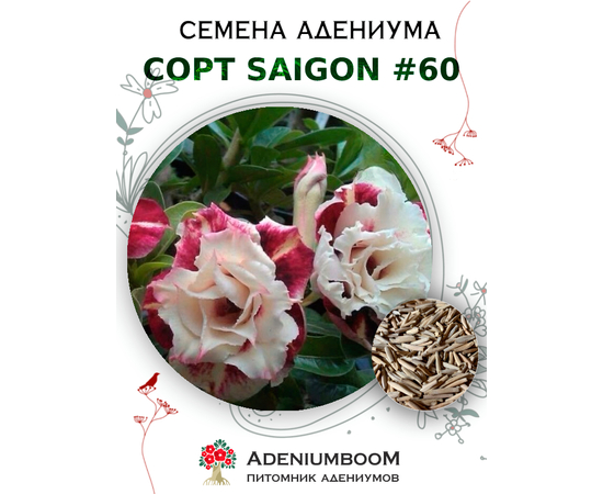 Адениум Тучный от Saigon Adenium № 60