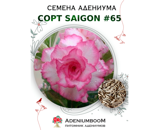 Адениум Тучный от Saigon Adenium № 65