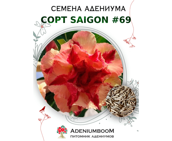 Адениум Тучный от Saigon Adenium № 69
