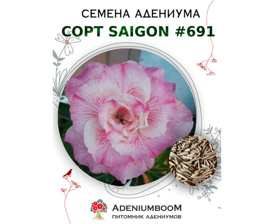 Адениум Тучный от Saigon Adenium № 691