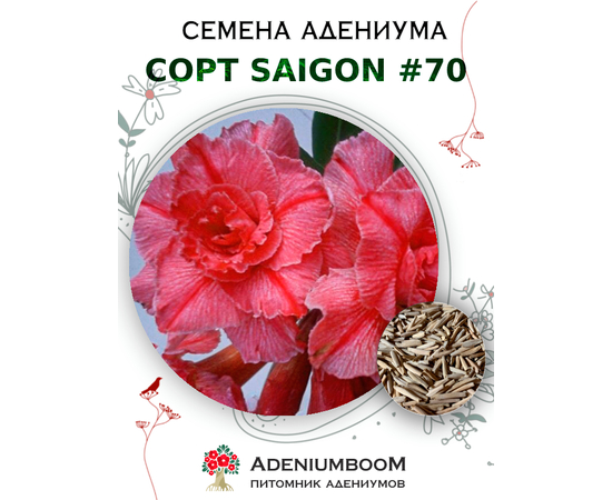Адениум Тучный от Saigon Adenium № 70