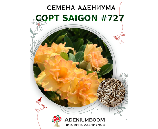 Адениум Тучный от Saigon Adenium № 727