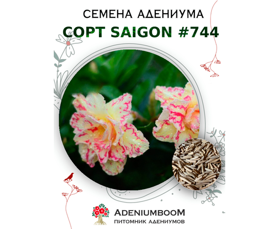 Адениум Тучный от Saigon Adenium № 744