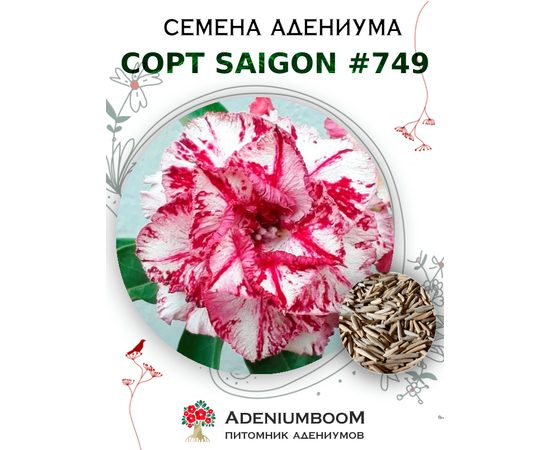 Адениум Тучный от Saigon Adenium № 749