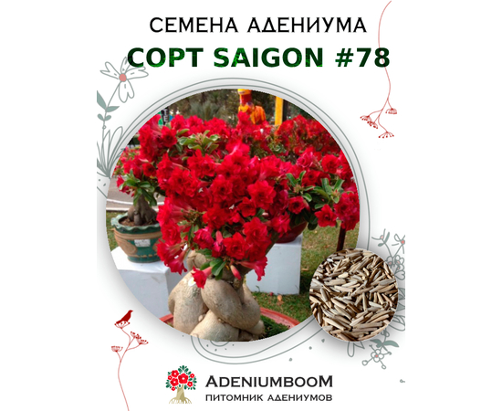 Адениум Тучный от Saigon Adenium № 78