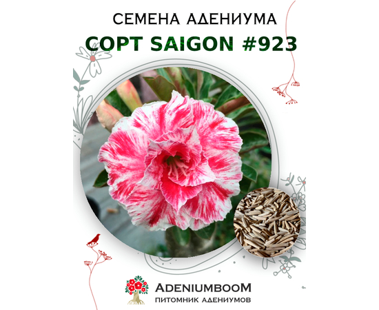 Адениум Тучный от Saigon Adenium № 923