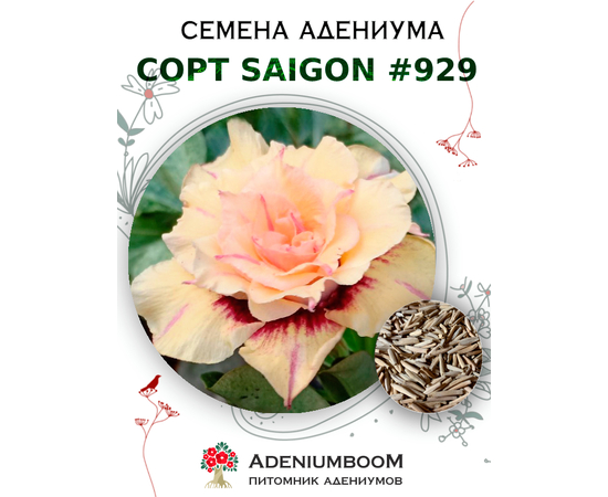 Адениум Тучный от Saigon Adenium № 929