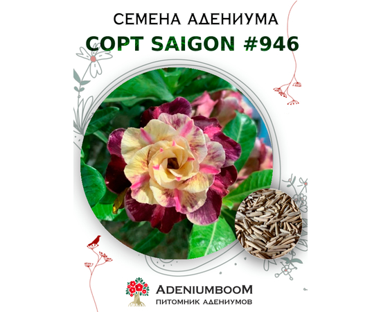 Адениум Тучный от Saigon Adenium № 946