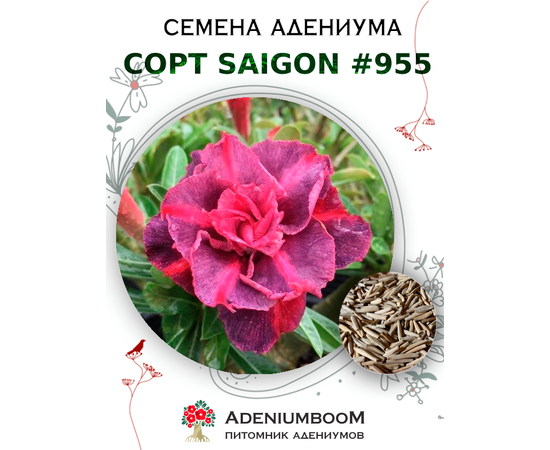 Адениум Тучный от Saigon Adenium № 955