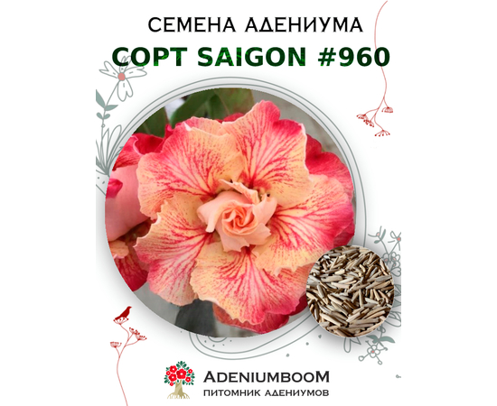 Адениум Тучный от Saigon Adenium № 960